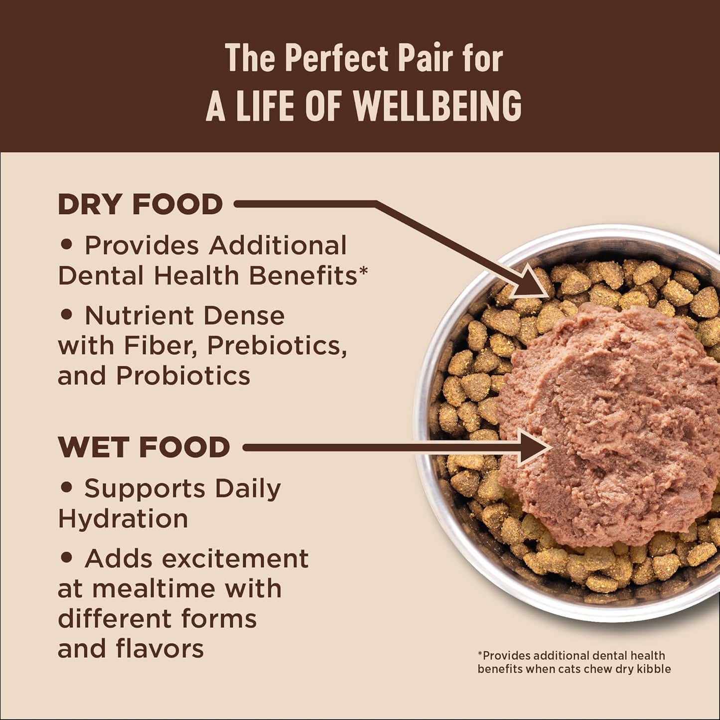 Wellness CORE+ Adult Dry Cat Food for Indoor and Outdoor Cats, Wholesome Grains, Natural, Digestive Health Chicken & Rice (5 Pound Bag)