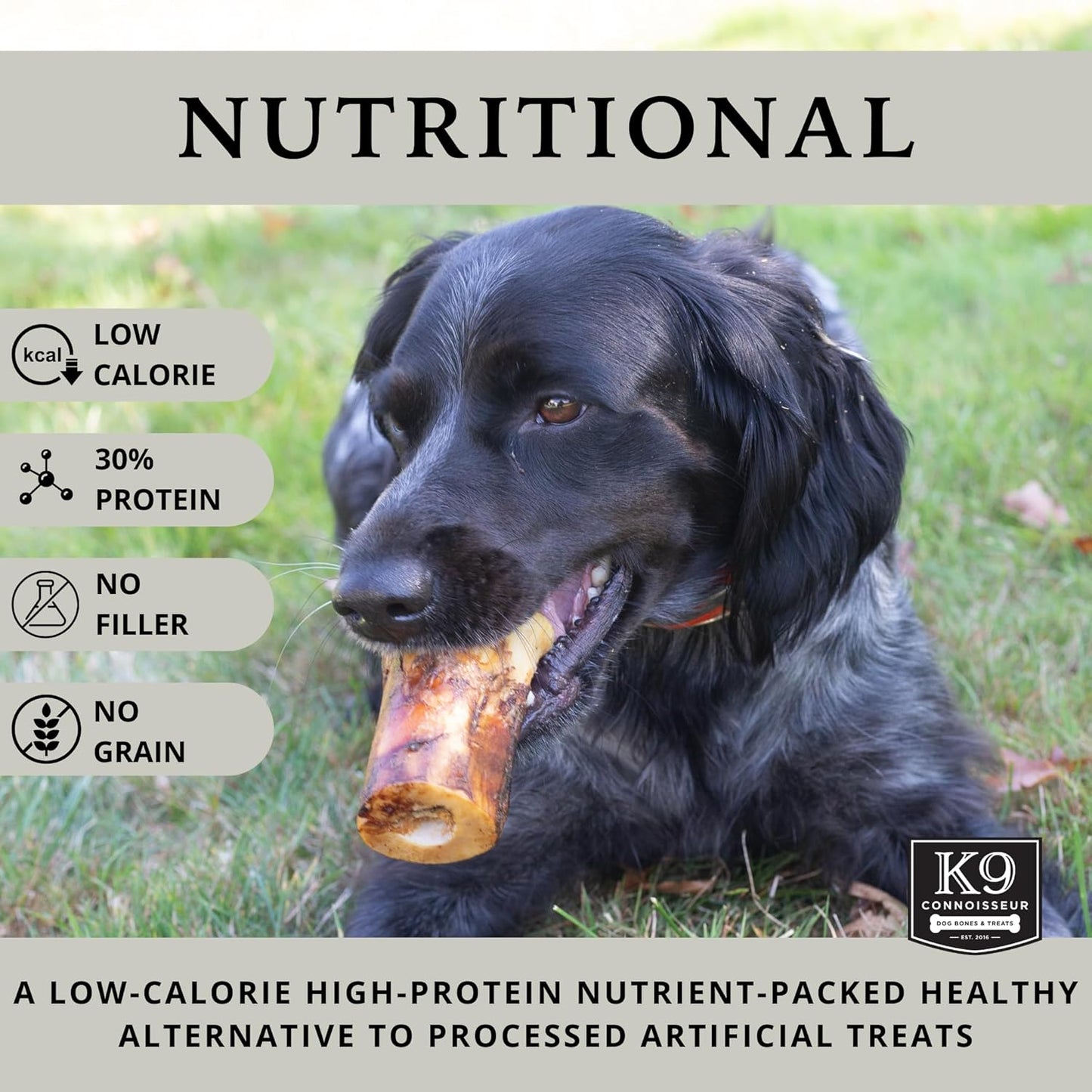 K9 Connoisseur Dog Bones Made in USA for Large Breed Aggressive Chewers All Natural Long Lasting Meaty Mammoth Marrow Filled Bone Chew Treat Best for Dogs Over 50 Pounds (8 Pack)