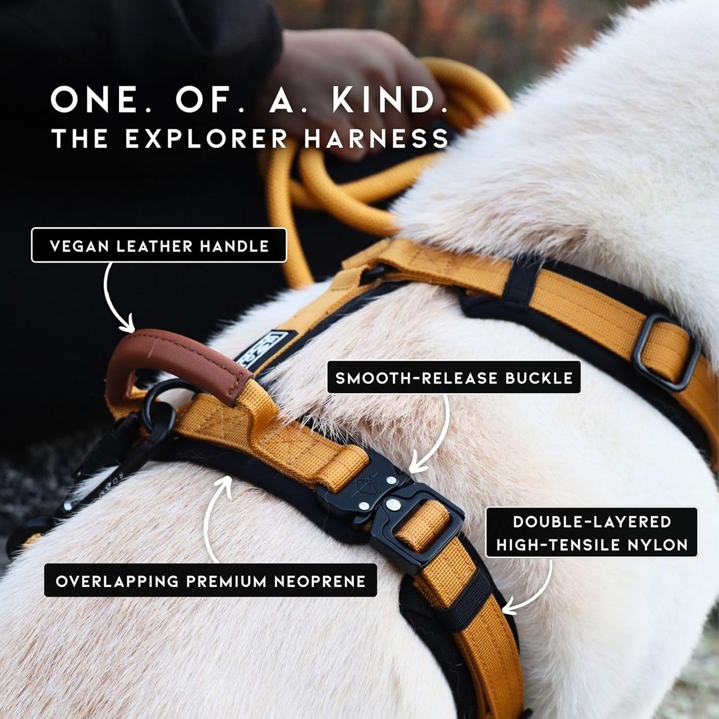 MADE TO ROAM Premium Explorer Harness - Y-Shaped Dog Harness with Adjustable Durable Nylon, Soft Padding, Metal Buckles and Leather Handle for Small, Medium, Large Dogs (Nevada Evening, Size 5)