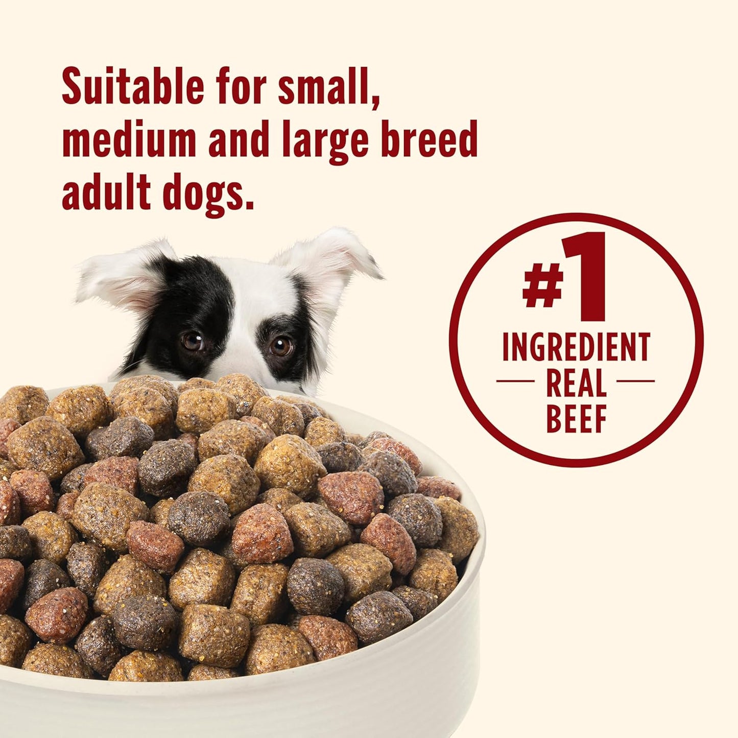 Nutrish Dry Dog Food, Real Beef, Pea & Brown Rice Recipe Whole Health Blend for Adult Dogs, 40 lb. Bag, Packaging May Vary (Rachael Ray)