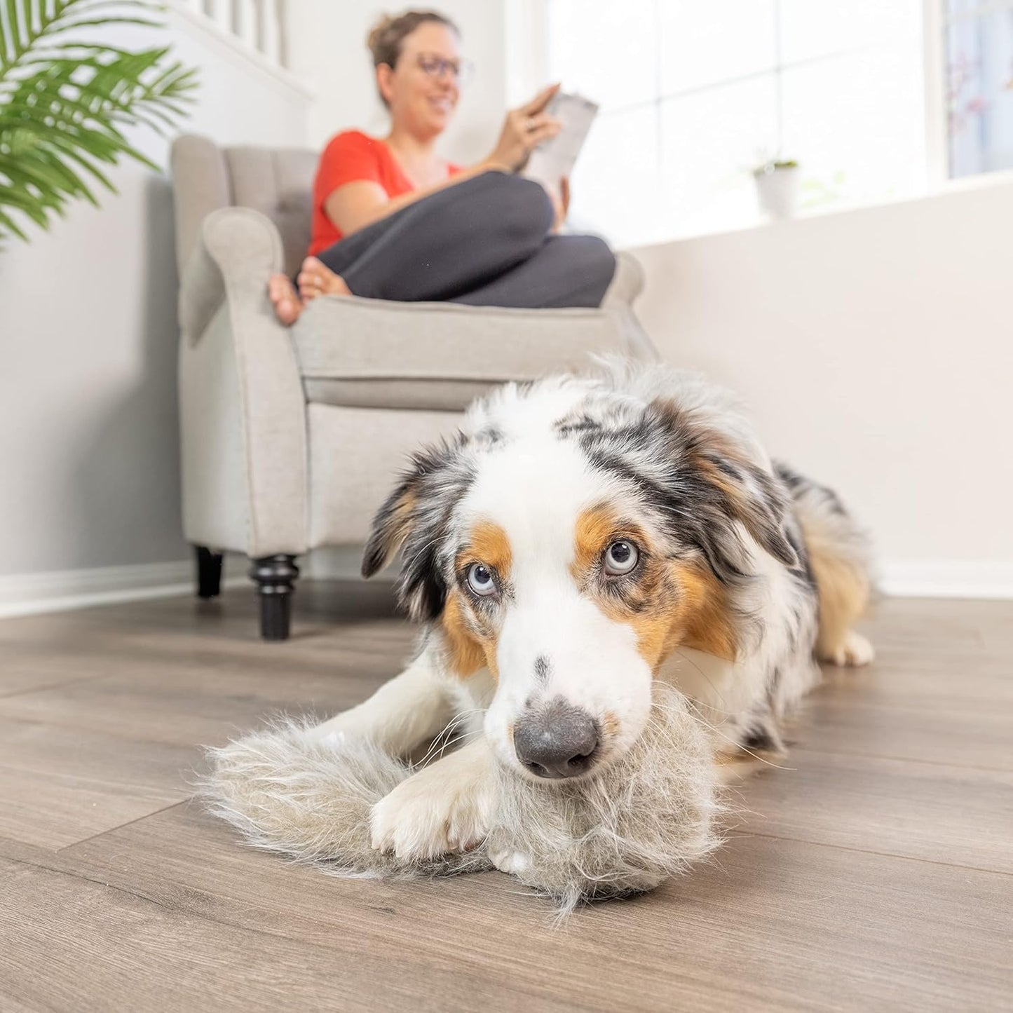 Hyper Pet Doggie Tail & Unicorn Pal Interactive Plush Dog Toys - 2 Pack Value Pack (Interactive Toy That Wiggles, Vibrates & Barks Dog Toys for Boredom & Stimulating Play) Colors May Vary