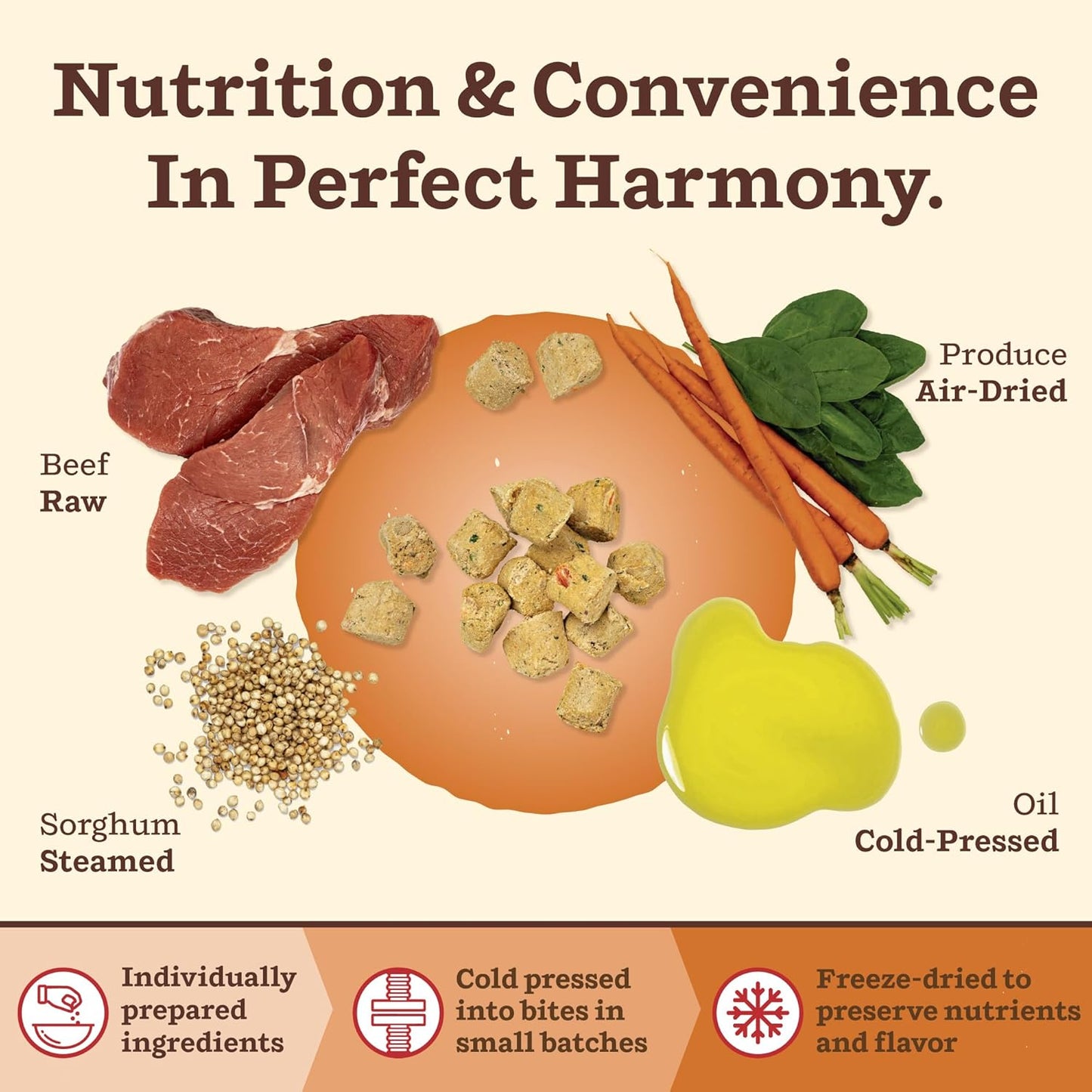 Primal Kibble in The Raw, Freeze Dried Dog Food, Beef, Scoop & Serve, Made with Raw Protein, Whole Ingredient Nutrition, Crafted in The USA, Dry Dog Food 9 lb Bag