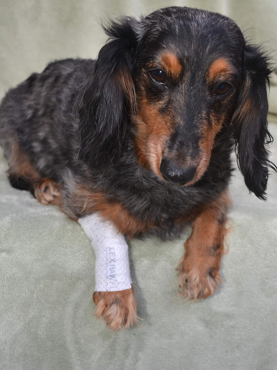 Protective Sleeve Tubular Cover - Bandages - for Dogs Cats and Other Pets First Aid Wound Care Comfortable Non-Adhesive Breathable & Water Resistant 18 Strips (yields 36-54 Covers)-(X-Large)