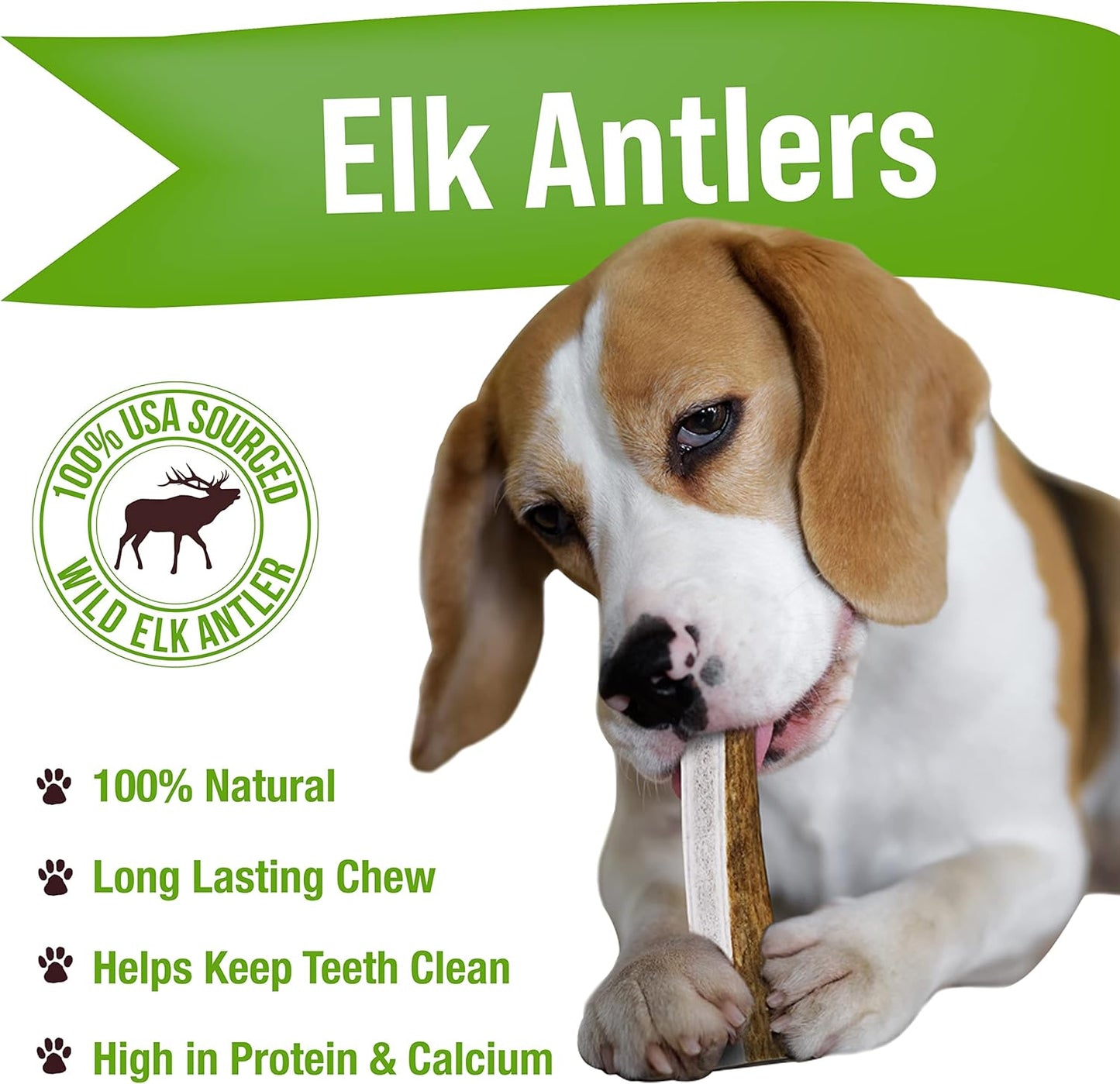 Buck Bone Organics Dog Chews, Antlers for Dogs, Premium Natural Elk, Long Lasting Dog Bones for Aggressive Chewers, No Preservatives, Wild Shed in The USA Medium