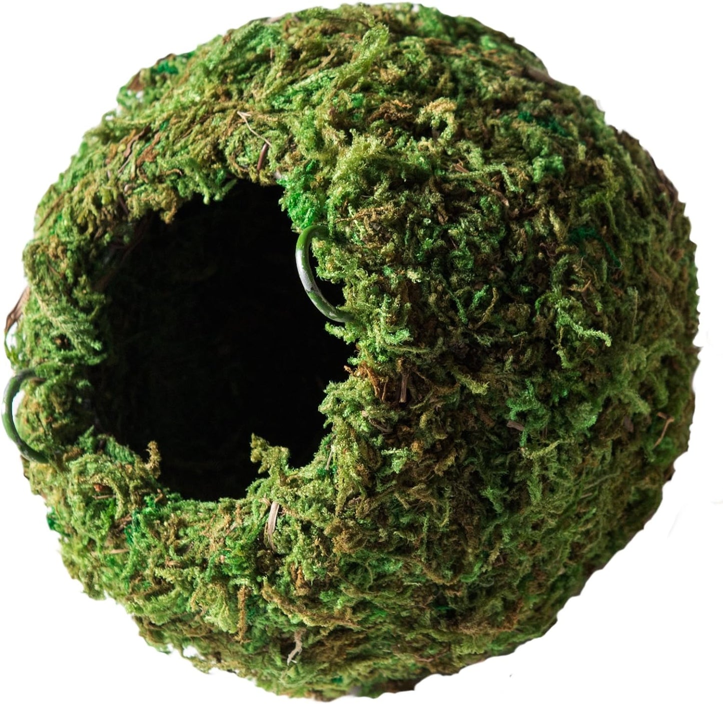 Galápagos (05348) Mossy Cave Hide, 6", Green Sphagnum