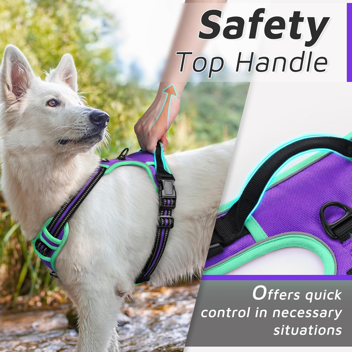 Eagloo Dog Harness Small Sized Dog, No Pull Service Vest with Reflective Strips and Control Handle, Adjustable and Comfortable for Walking, No Choke Pet Harness with 2 Metal Rings, Purple & Green, S