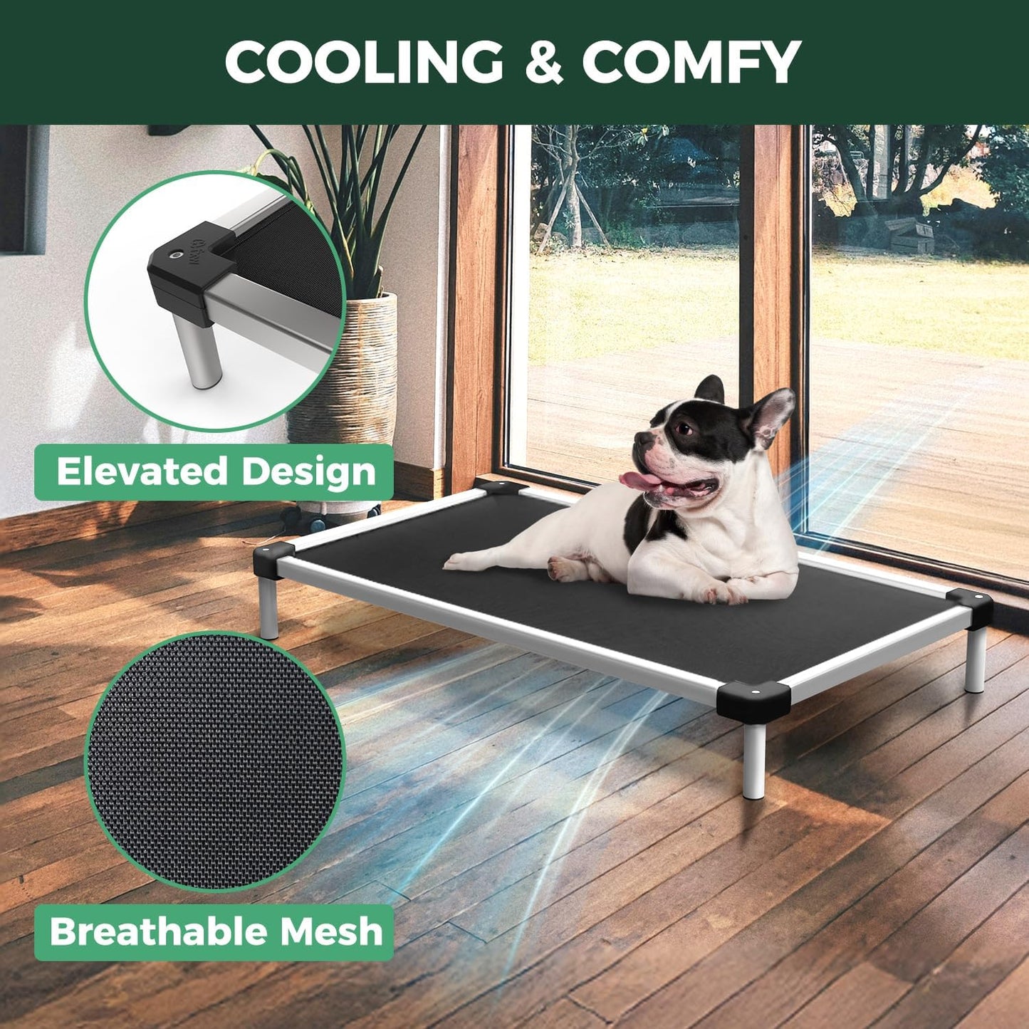 FXW TitanNest Chew-Proof Elevated Dog Bed, Raised Cot for Indoor/Outdoor/Camping Use, Durable & Waterproof Cooling Pet Bed for Extra-Small Dogs, 30.0" L x 22.0" W x 4.5" H, Black