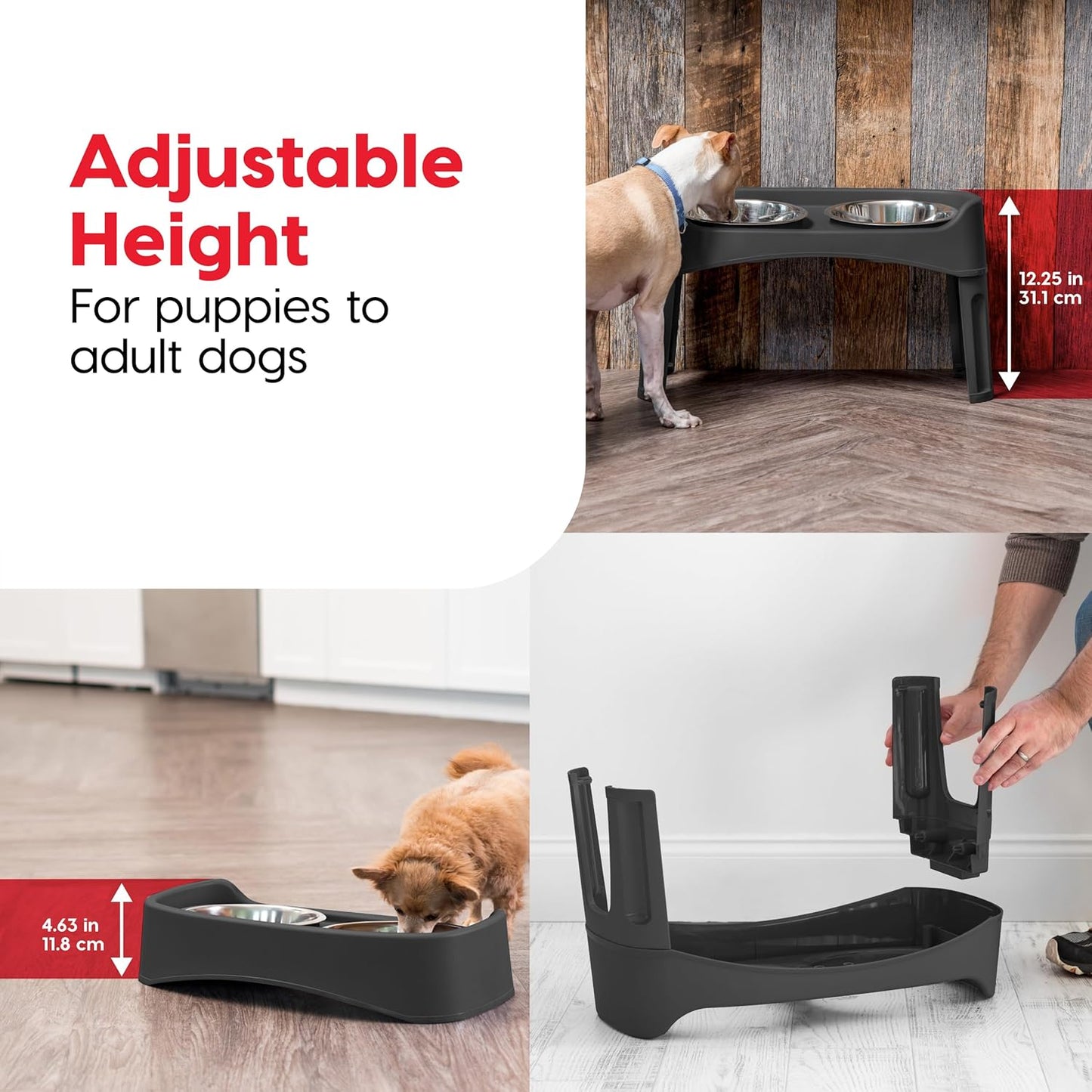 IRIS USA Elevated Dog Bowls, Adjustable Height, 2 Thick 64 oz Stainless Steel Bowls, Spill-Proof with Raised Outer Rim, Durable Made in USA Plastic, Easy Assemble, 2 Heights 4.63" or 12.25" Black