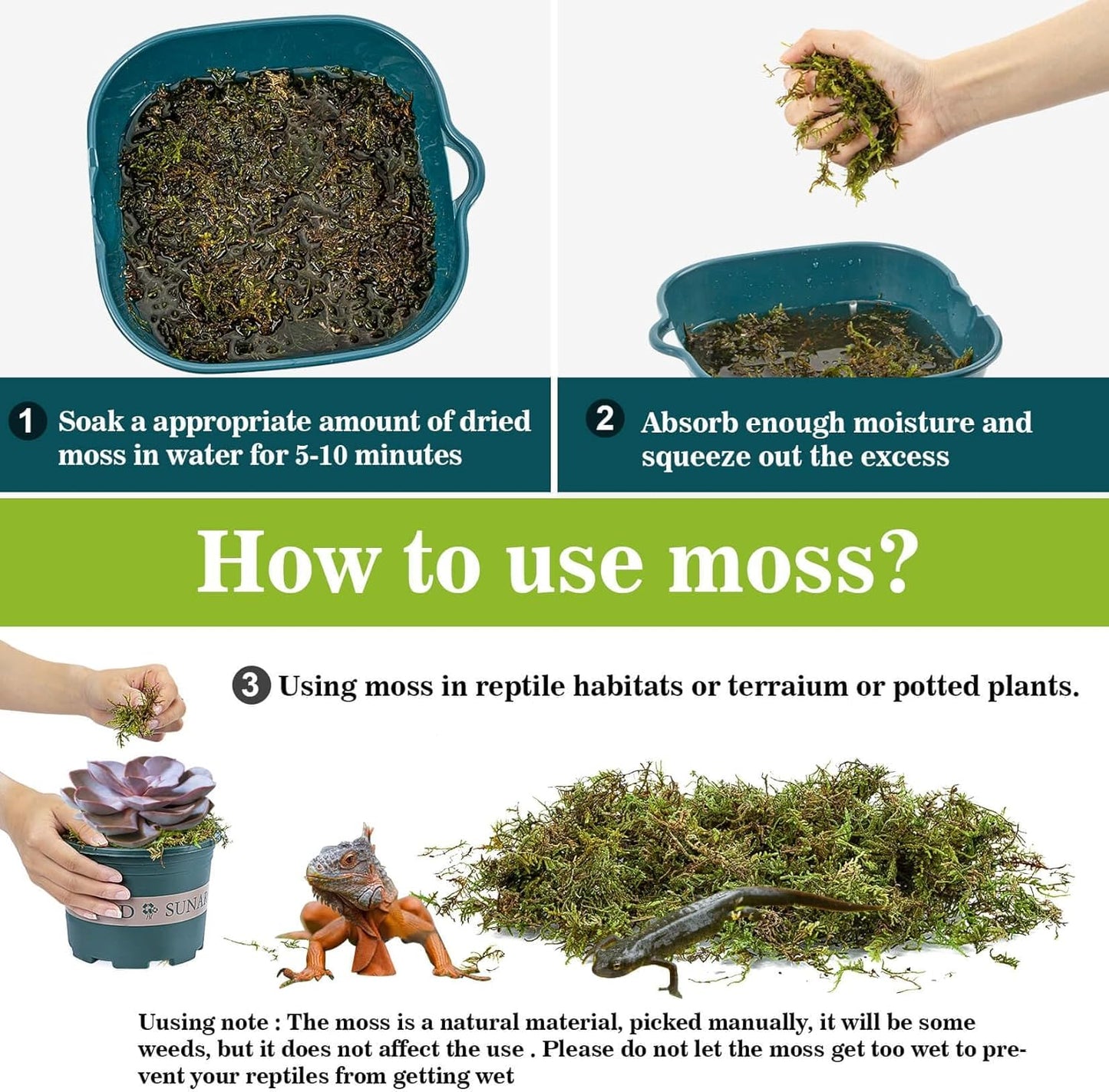 Sukh Sphagnum Moss for Reptiles -Terrarium Moss for Reptiles Peat Moss for Reptiles Habitat Bedding Moss for Snakes Turtle Frog Gecko and Other Reptiles Substrate (6.3, Ounces)