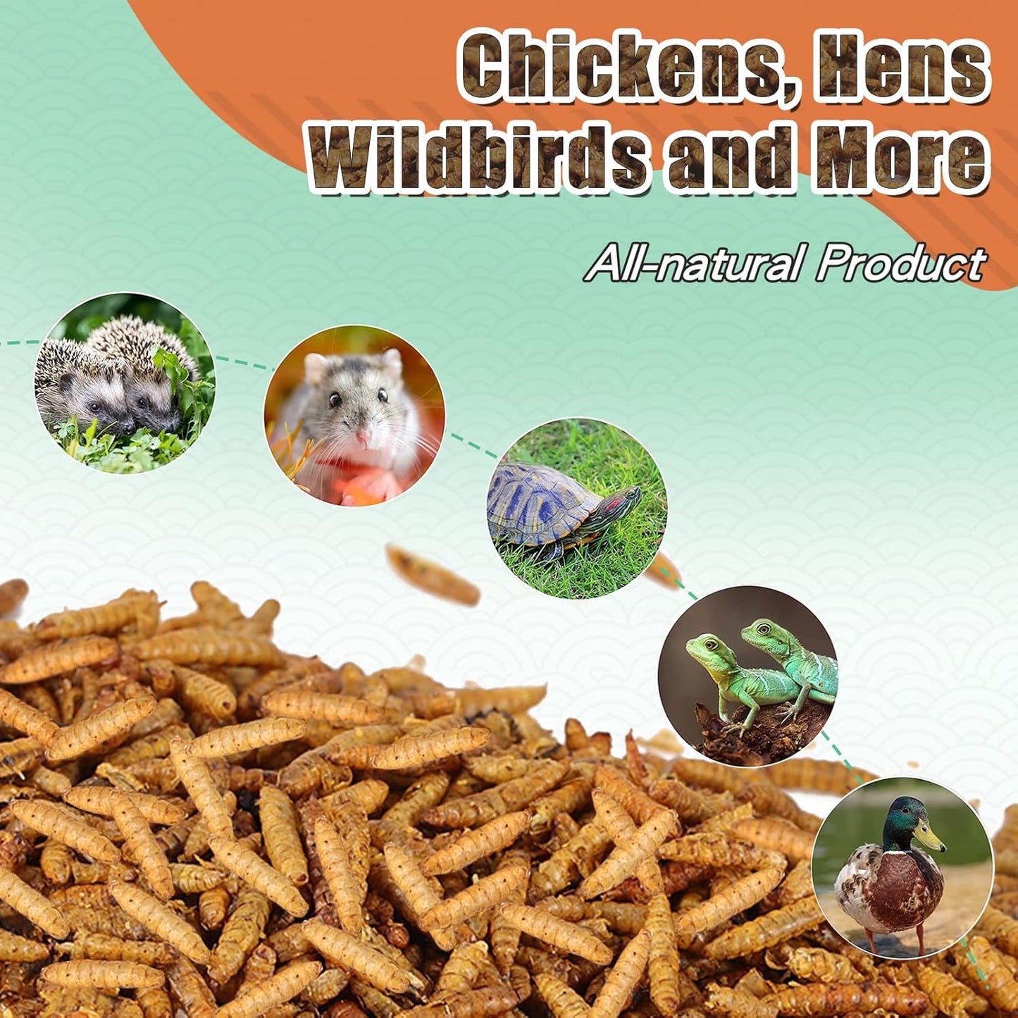 Dried Black Soldier Fly Larvae 22LBS, 85X More Calcium Than Mealworms High-Protein BSF Larvae Chicken Treats Non-GMO BSFL for Chickens, Hens, Ducks, Wild Birds