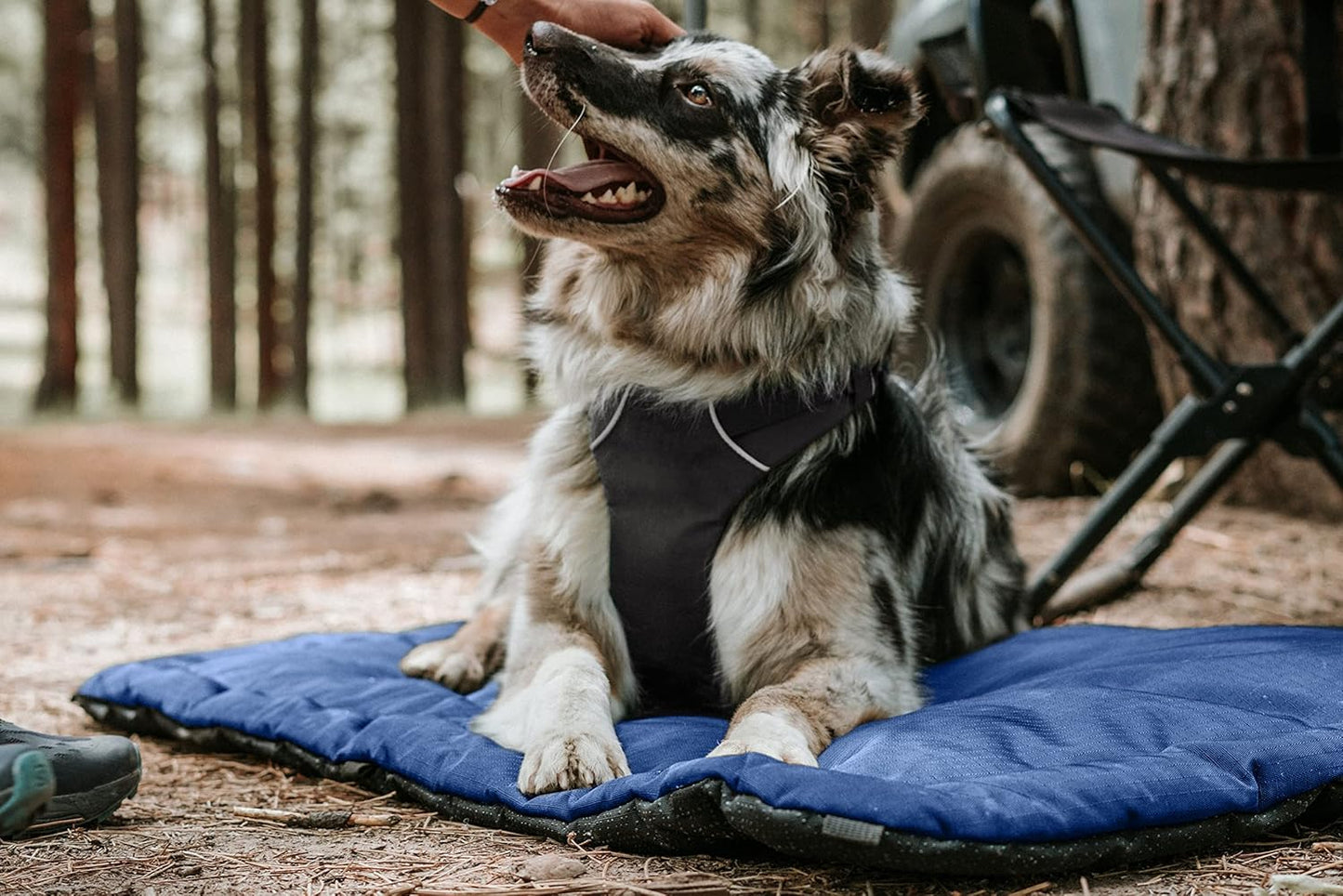 K9 Ballistics Tough Ripstop Dog Crate Pad - Durable & Machine Washable with Non-Skid Bottom and 120-Day Warranty, Fits 24" Wire Crates - X-Small, Obsidian Black