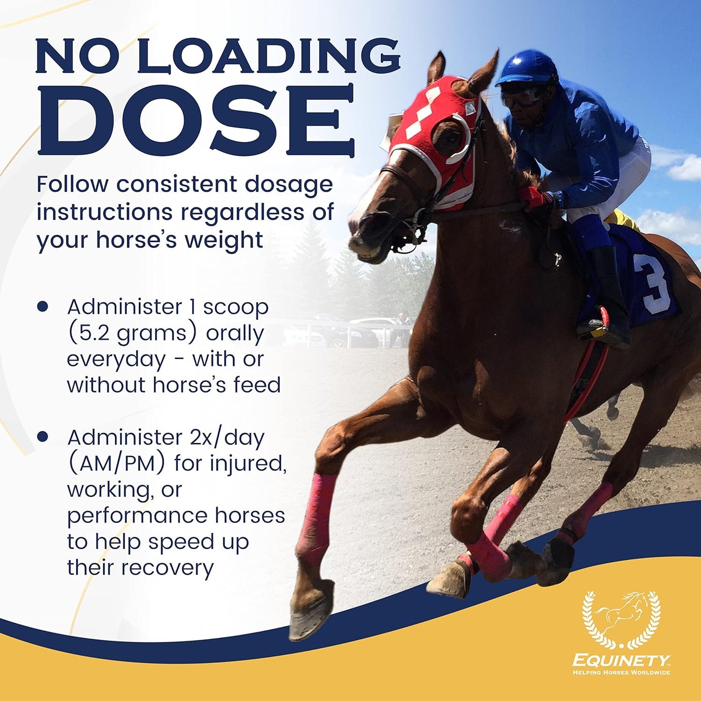 100-Day Supply Horse XL Supplements – Horse Care Weight Gain Supplement W/ 8 Amino Acids - No Soy or Sugar Coat Defense for Horses - Joint Supplement, Equine Supplies & Hoof Supplements