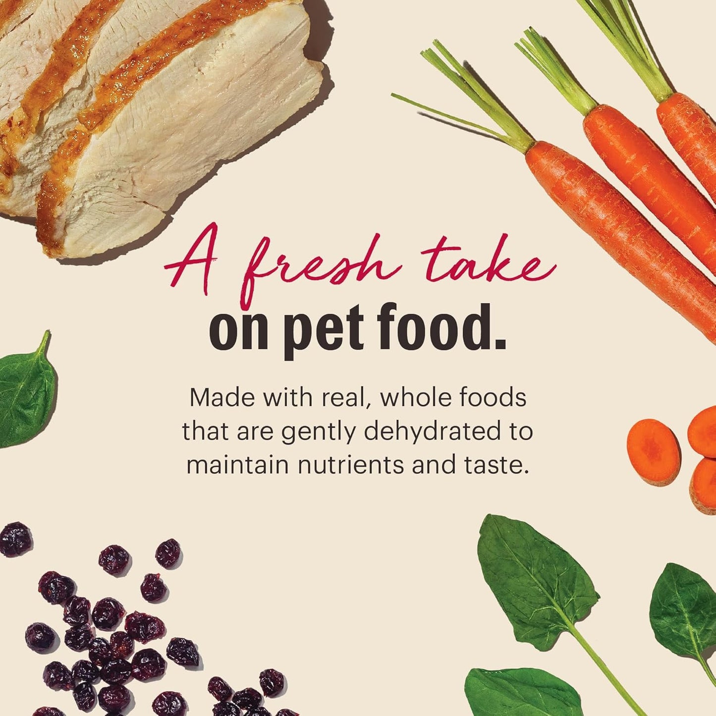 The Honest Kitchen Wholemade™ Grain Free Turkey Dog Food, 7 lb Box
