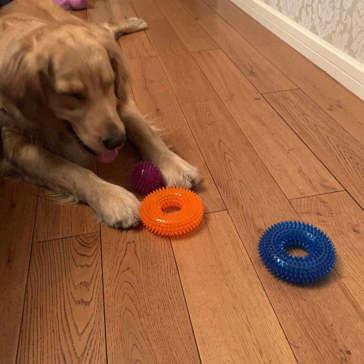 Jalousie Dog Squeaky Toys Value Set Non-Toxic Squeaky Balls Toss Fetch TPR Rubber Puppy Toys Spikey Dog Chew Toy for Small Medium Breed Pet Toys for Puppy (6 Pack Spiky Ball)