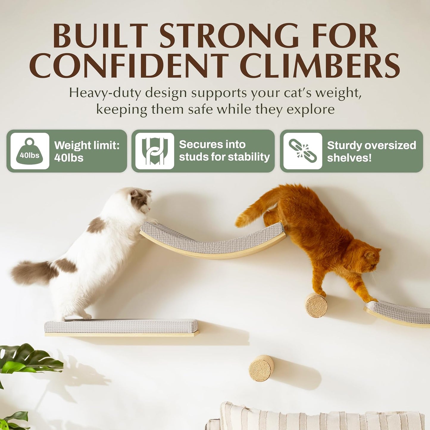 Extra Large 23.6”x12.6” CALLICO HAVEN- Stylish Cat Wall Shelves with Cushion, Modern Wall-Mounted Cat Tree Furniture, Window Cat Shelf & Perch, Sturdy/Hidden Mounts, Washable Cover - Flat Shape