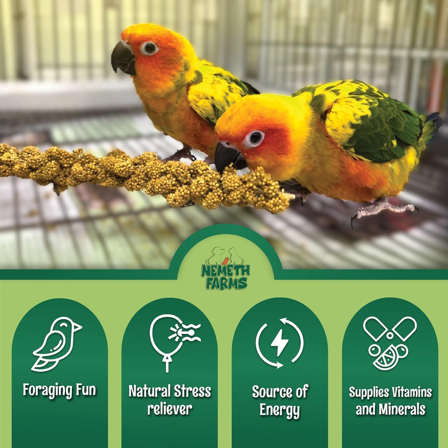 Nemeth Farms–Natural Sun Dried Millet Spray for Pet Birds–Bulk Parrot Seed Treats and Parrot Food–Natural Non GMO Millet Spray–Cockatiels Lovebirds Parakeet 2 lbs.