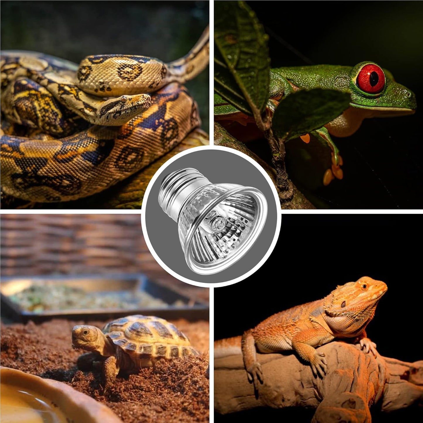 Briignite Reptile Heat Bulb 2 Pack, 50W UVA UVB Reptile Light Bulbs, Dimmable Heat Lamp Bulbs, Basking Light Bulb for Turtle, Beard Dragon Gecko Lizard Amphibians