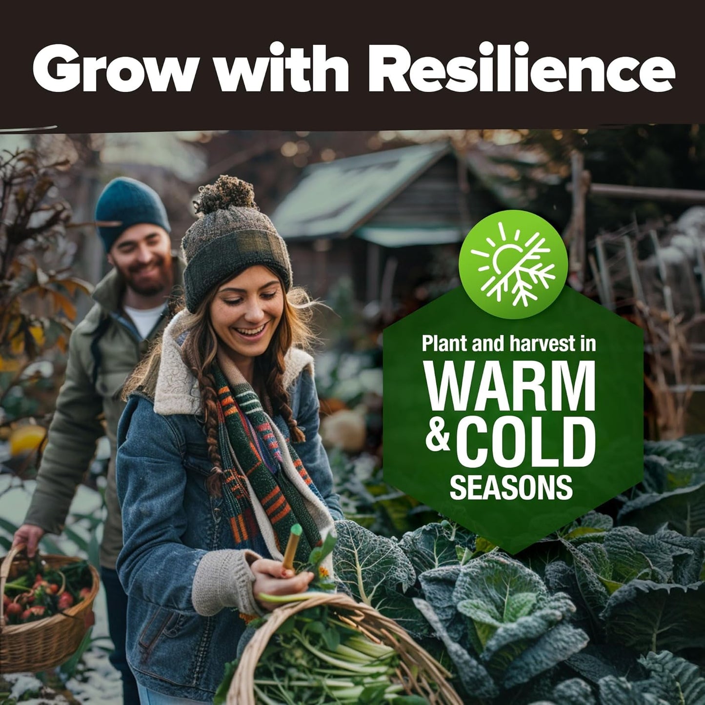 HOME GROWN 𝗨𝗦𝗔 𝗣𝗥𝗘𝗠𝗜𝗨𝗠 25 Heirloom Vegetable Seeds 12,000+ 𝗡𝗢𝗡-𝗚𝗠𝗢 Survival Garden Seeds Kit, High Germination Tomatoes Carrots Beans Kale Peppers, Giftable Indoor Outdoor Planting Set