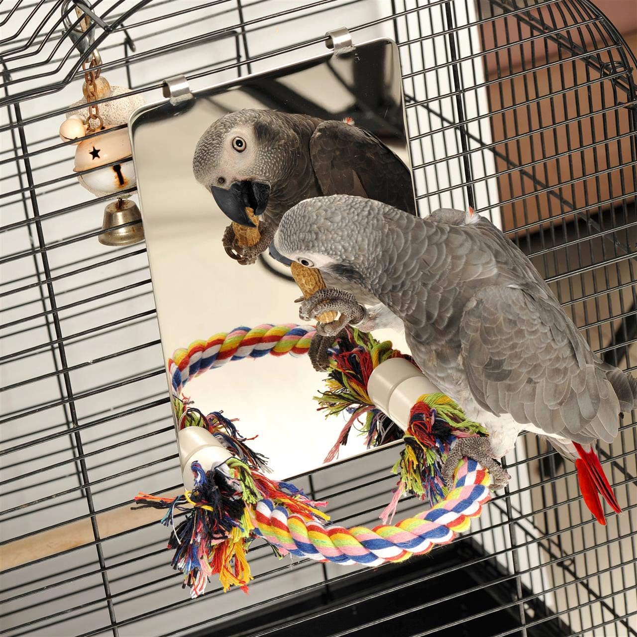Colorday 9" Bird Mirror with Rope Perch, Bird Swing, Parrot Cage Toys for Parakeet African Grey Conure Cockatiel Lovebird Finch Canarie, Large