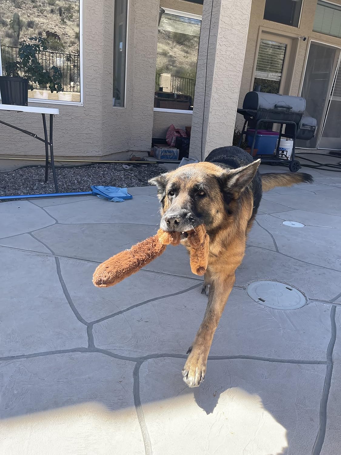 Jalousie 5 Pack Stuffingless Dog Crinkle Paper Toys Dog Toy Dog w/Durable Liner No Stuffing Dog Toy - Dog Toys for Pets Dogs No Stuffing Dog Crinkle Sound Toy for Medium Large Dogs