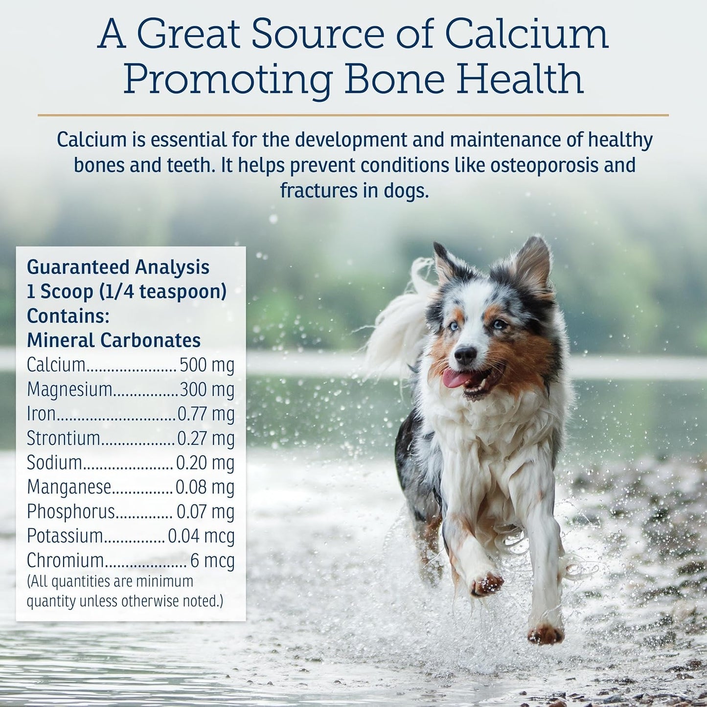 Rx Vitamins Canine Minerals - Essential Minerals for Dogs - Calcium, Magnesium, Iron Supplement, Bone and Joint Supplement for K9, Immune Support - 16oz