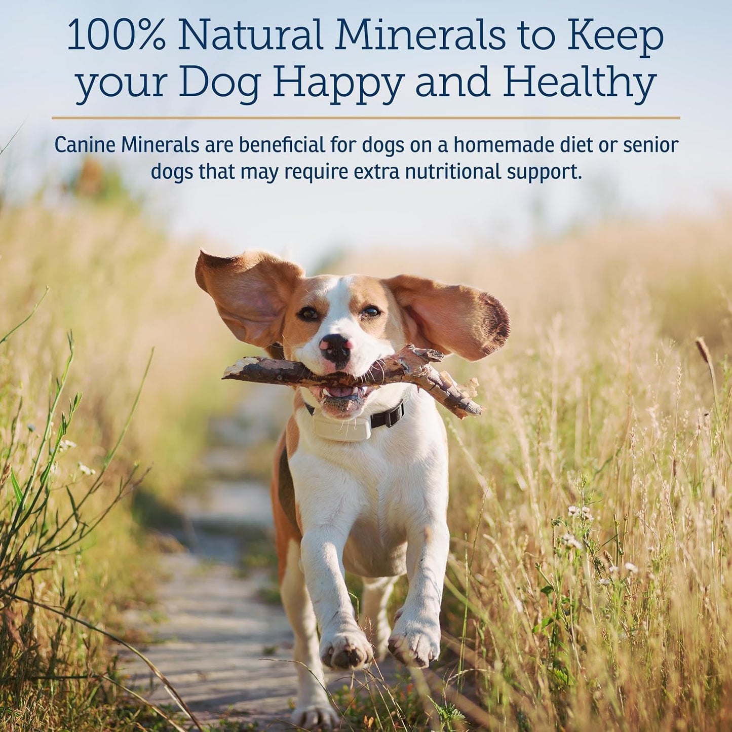Rx Vitamins Canine Minerals - Essential Minerals for Dogs - Calcium, Magnesium, Iron Supplement, Bone and Joint Supplement for K9, Immune Support - 16oz