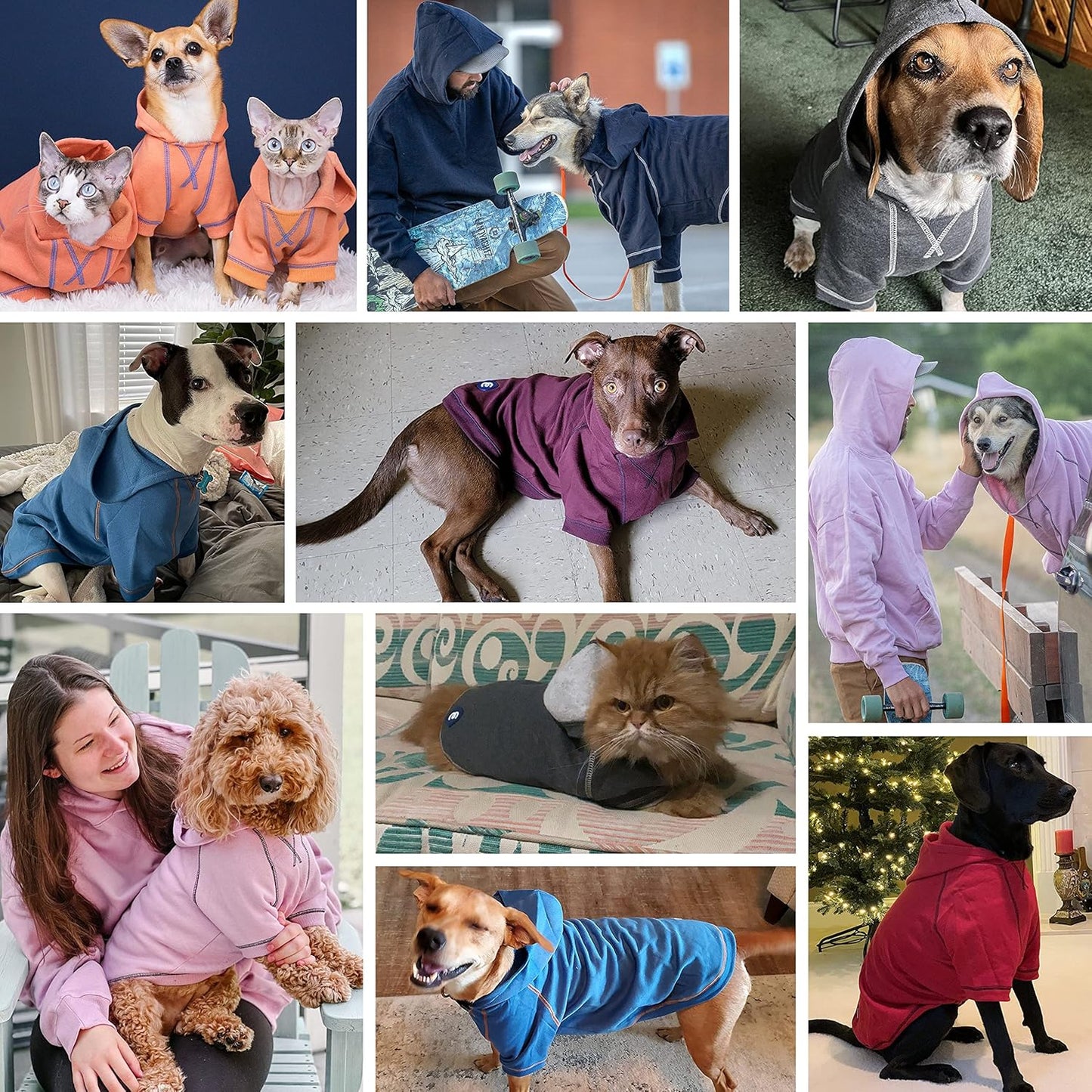 Blueberry Pet Essentials Dog Hoodie – 26 inch, Cotton‑Blend Sweatshirt with Hood, Coral, Machine‑Washable Small‑Dog Jersey