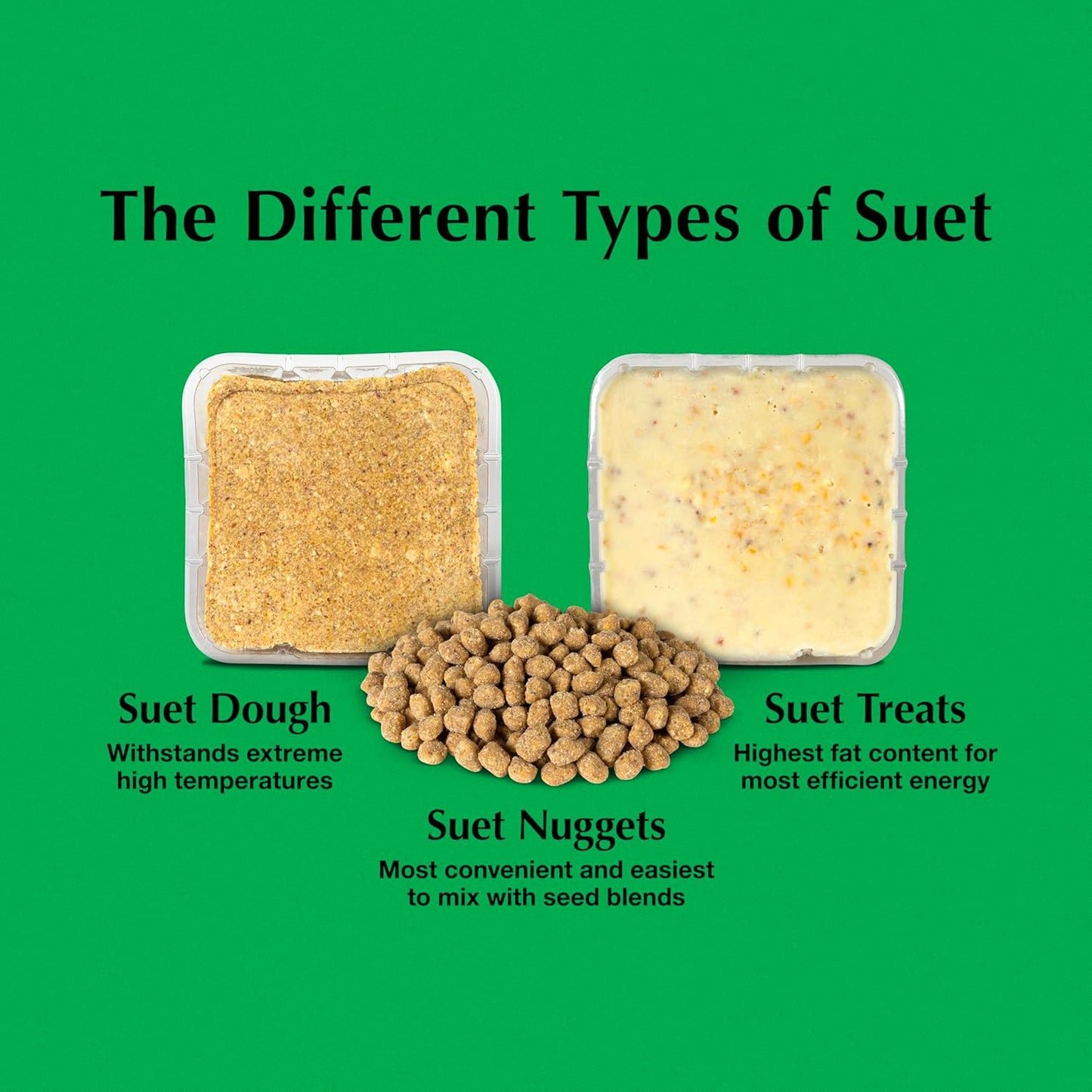 C&S Insect Delight No Melt Suet Dough 11.75 Ounces 8 Pack