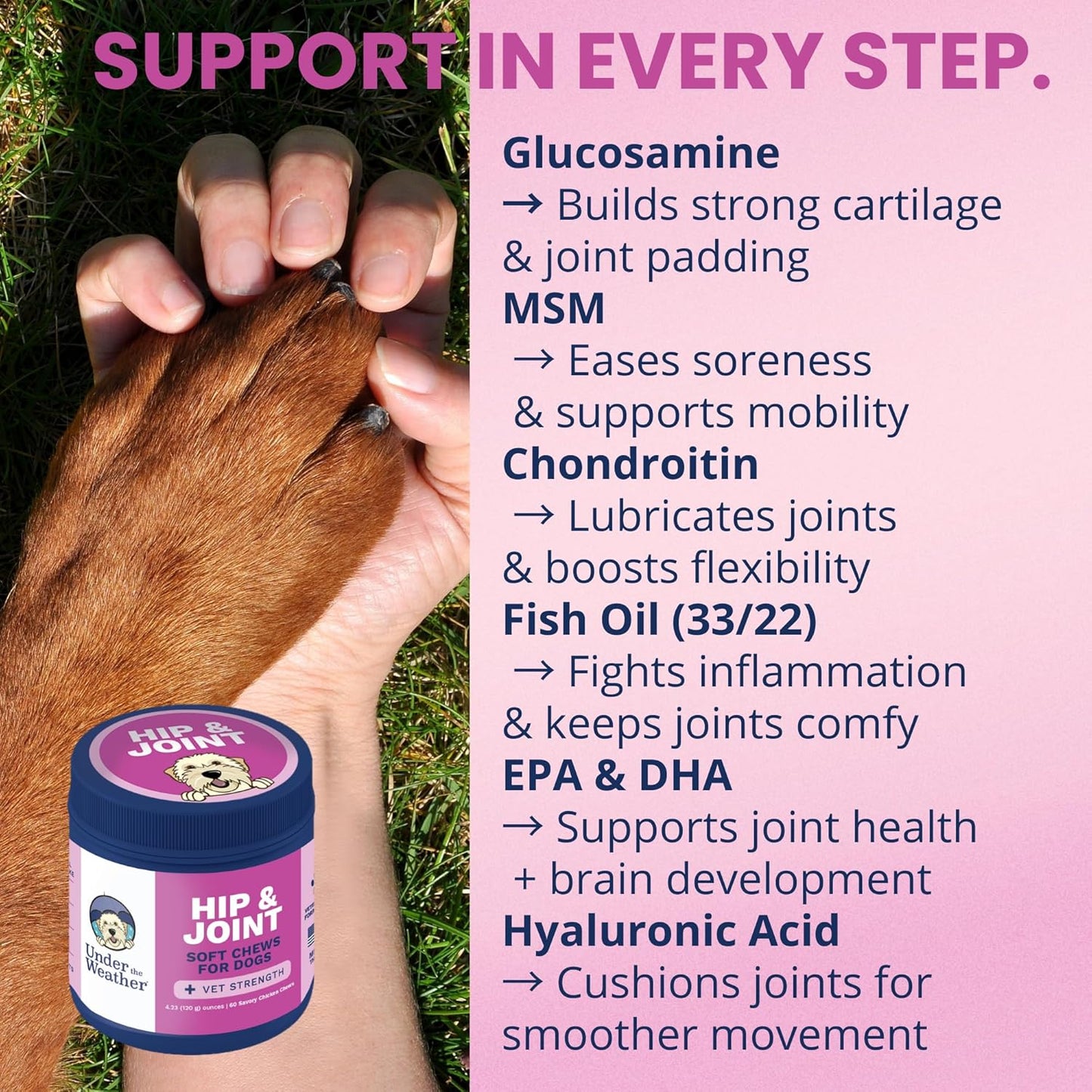 Under the Weather Pet Hip & Joint Chews for Dogs | Vet Formulated Dog Joint and Hip Supplement | Daily Chews with Chondroitin & MSM for Mobility & Flexibility Support | 60 Count