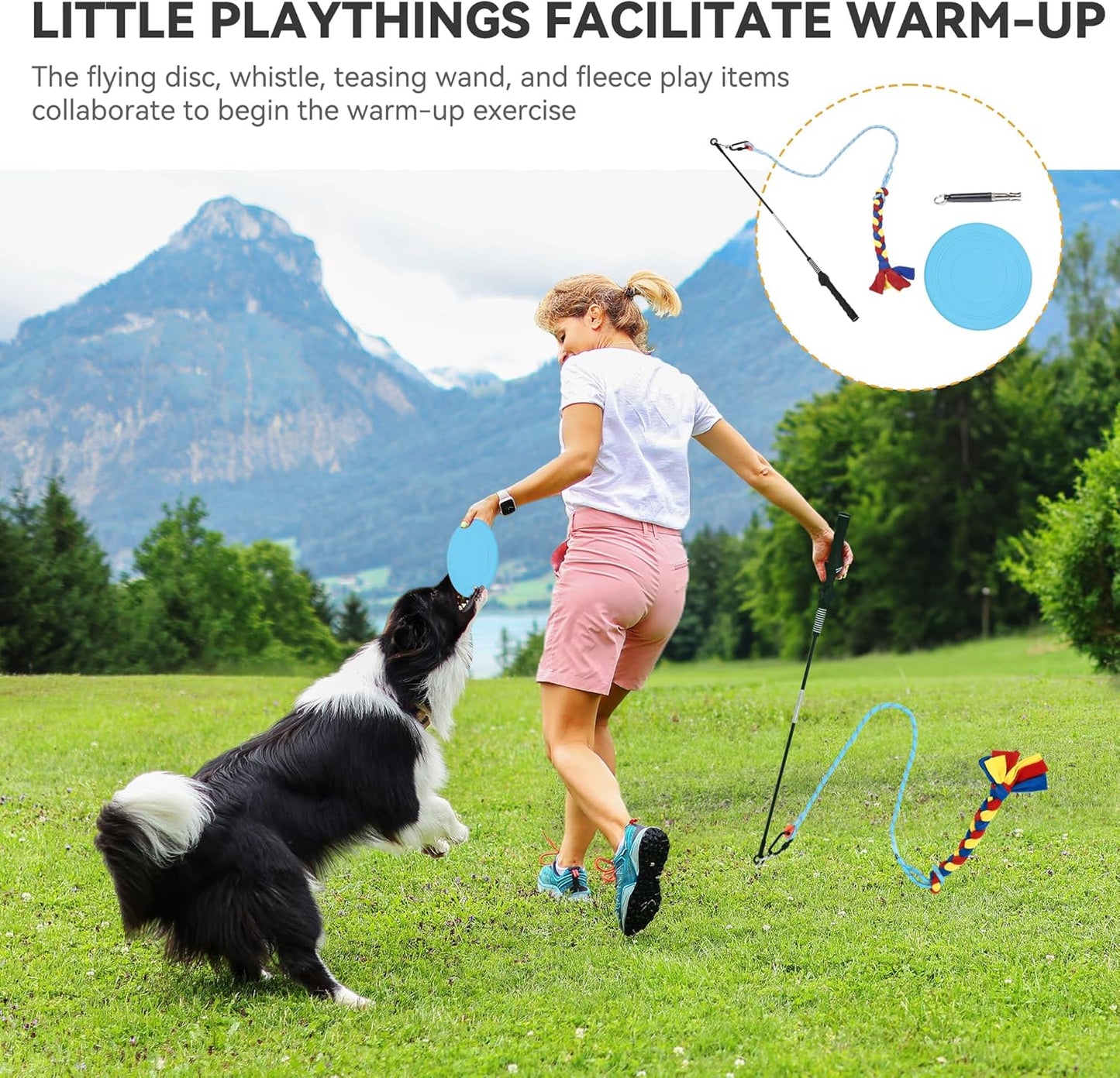 YITAHOME Dog Agility Training Equipment Set with Flexible Tunnel, Hurdle, Jump Ring, 6 Weave Poles, Pause Platform, Teaser Pole, 3 Flying Discs, and Carry Bags for Indoors Outdoors, Orange/Blue