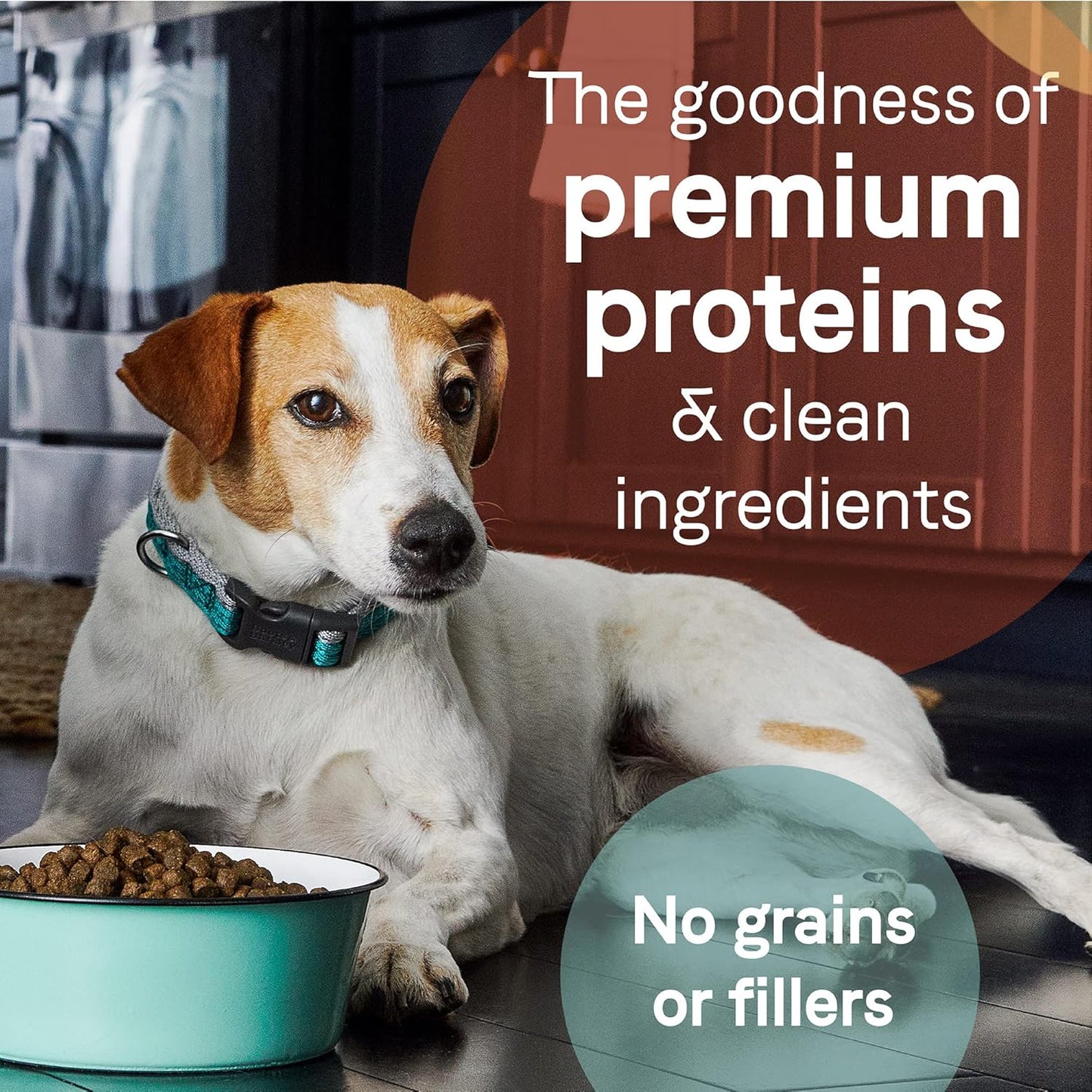 Canidae Pure Limited Ingredient Premium Adult Dry Dog Food, Real Duck & Sweet Potato Recipe, 22 lbs, Grain Free
