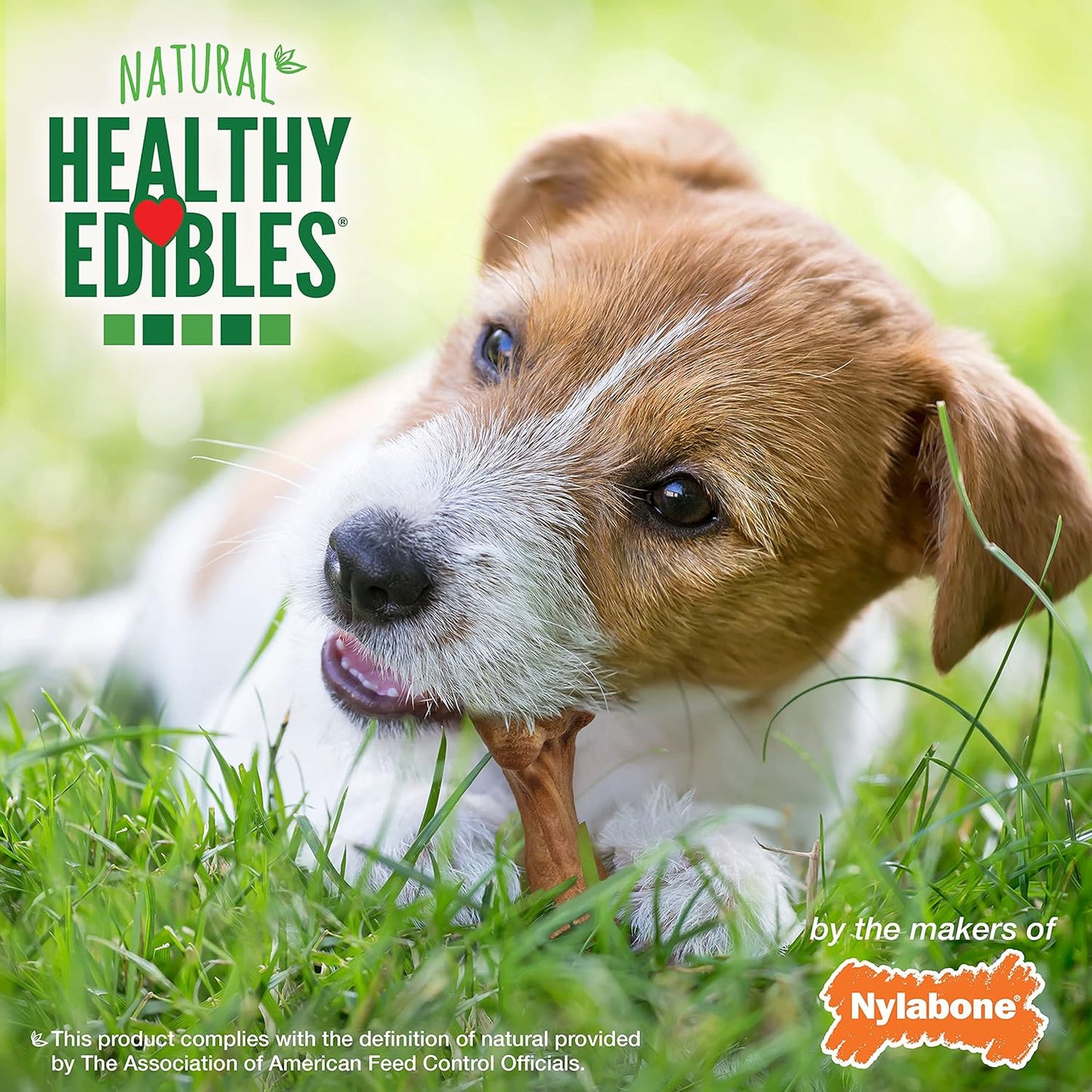 Nylabone Healthy Edibles Wild Natural Long-Lasting Bison Flavor Bone Chew Treats for Dogs, Small (16 Count) (Pack of 2)