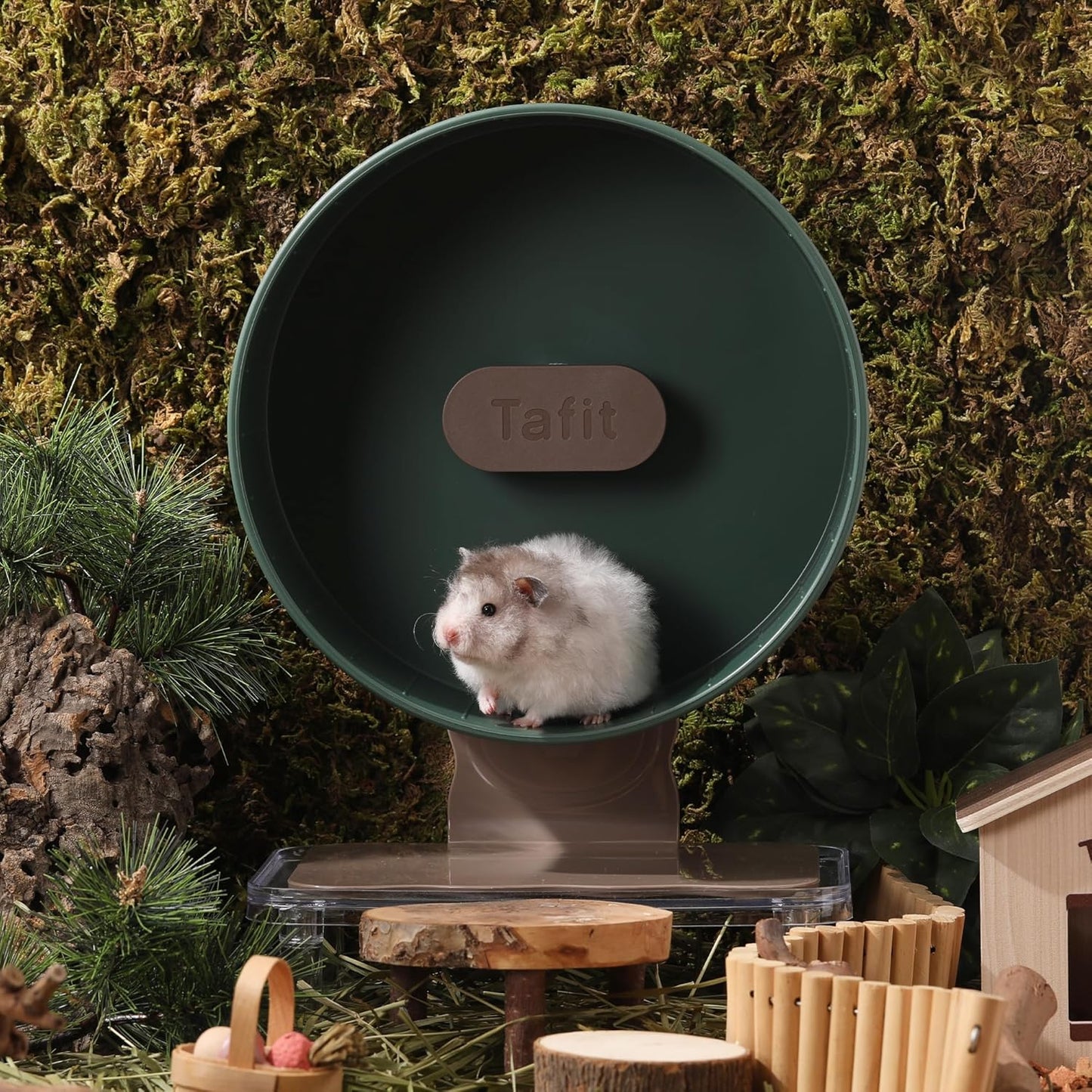 Quiet Hamster Wheel 10.2 Inch Dual-Bearings Silent Small Animals Running Exercise Wheel Height Adjustable for Syrian Hamsters, Gerbils, Rats, or Other Small Pets, Avocado Green