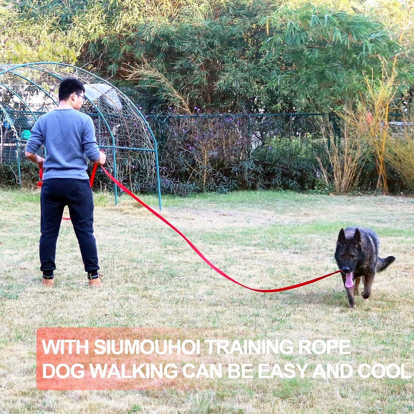 Dog/Puppy Obedience Recall Training Agility Lead - 20ft Long Training Leash，3/4in Wide - Great for Play, Camping, or Backyard（Purple,20 Feet）