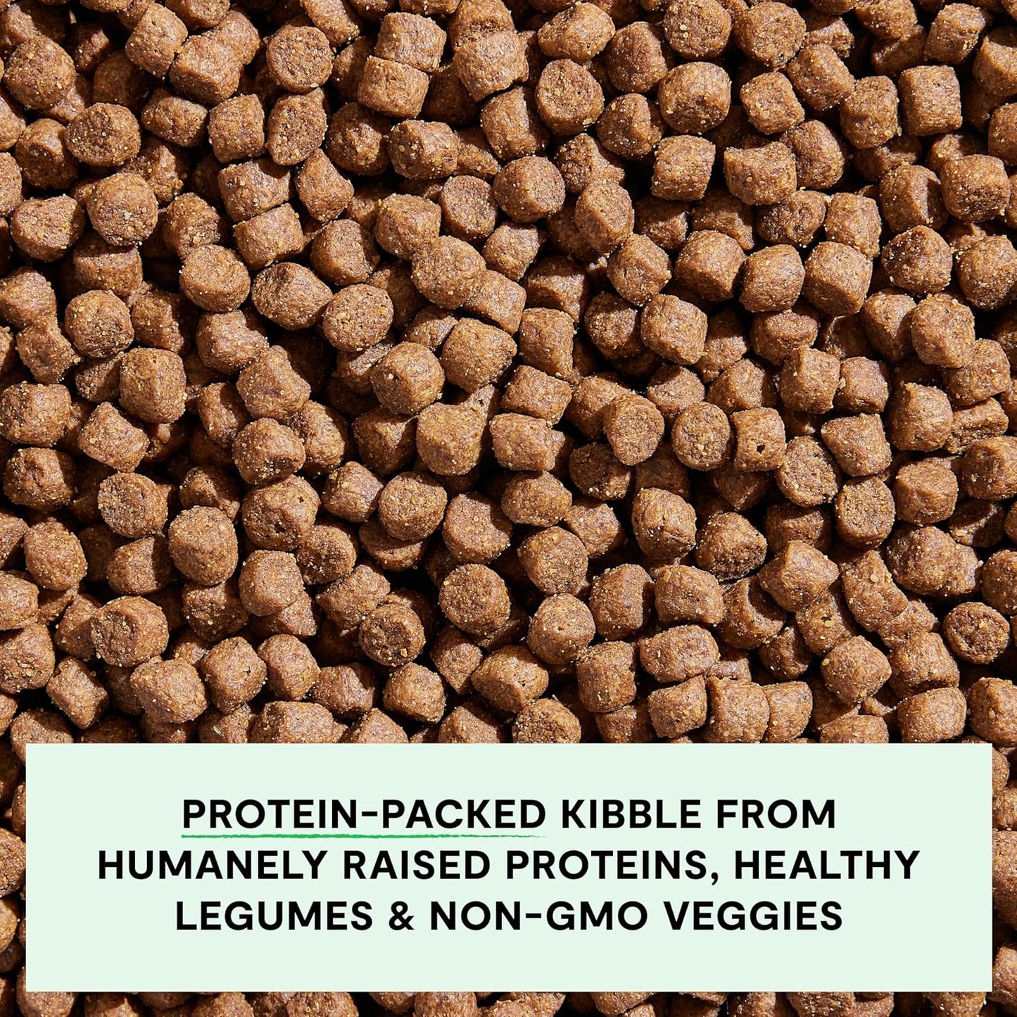 Open Farm, Grain-Free Dry Dog Food, Complete & Balanced Kibble, Sustainably & Ethically Sourced Ingredients, Non-GMO Veggies & Superfoods to Support Overall Health, Pork Recipe, 4lb Bag